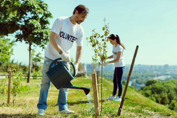 istock Attentive volunteer man watering plant 1002868594