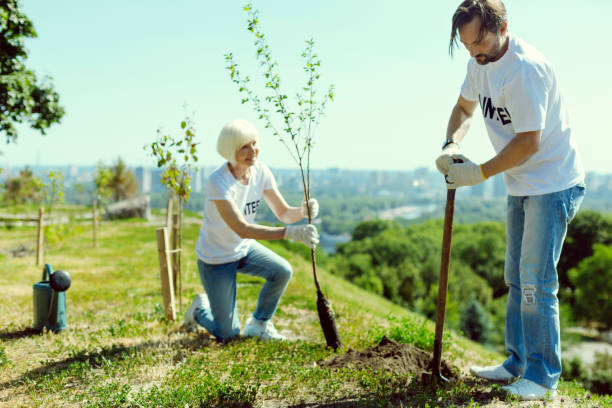 istock Attentive man preparing soil for planting 1002868700