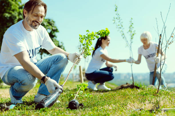 istock Handsome male person preparing sapling 1002868850