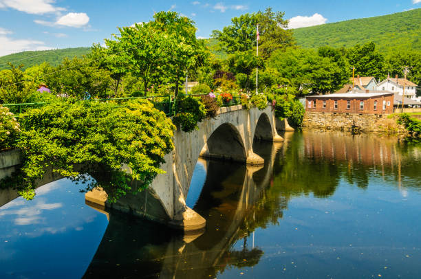 istock Bridge of Flowers 1002875450