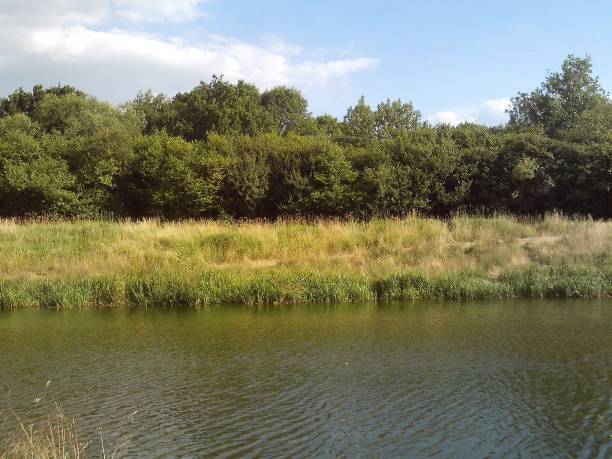 istock Whittleford Park, Nuneaton, England, In Summer, 2018. 1002876336