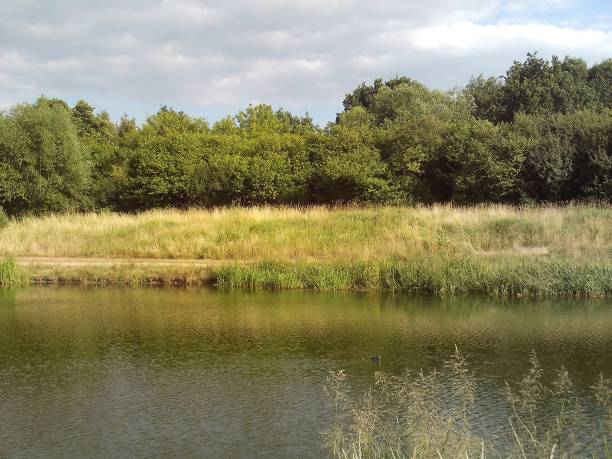 istock Whittleford Park, Nuneaton, England, In Summer, 2018. 1002877262
