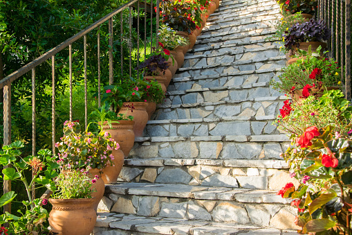 Blooming potted flowers on a stone staircase
