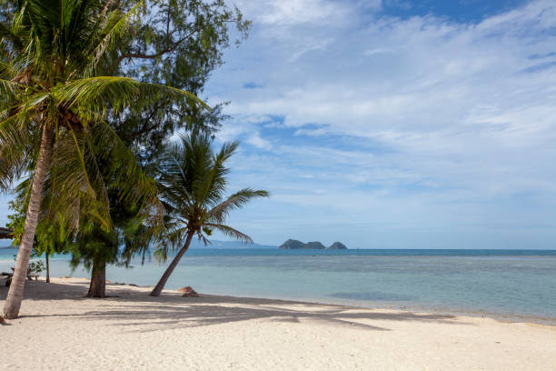istock Tropical beach island in Thailand 1002879388