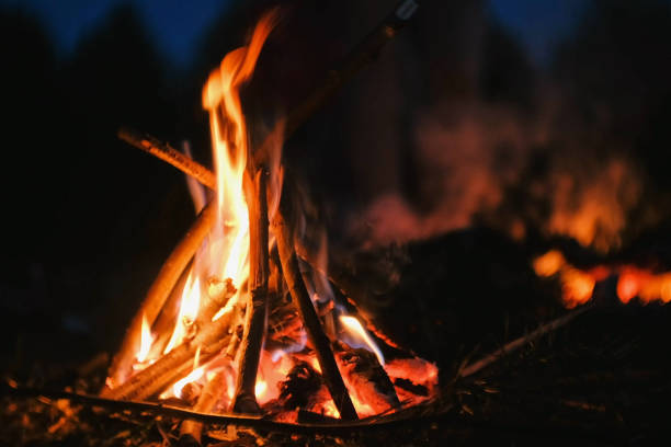 istock Burning bonfire of dry branches in the forest close-up. 1002880376
