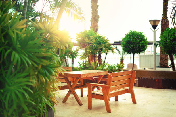 istock Empty bench on beach walkway. Sunny rest area. Tropical green palm trees background. Sun light effect and sunny bokeh. Summer, holiday and travel concept with copy space 1002884710