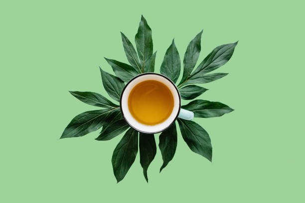 ervas perfumadas e saudável fresca ou chá verde em uma caneca sobre um fundo verde. hora do chá - tea cup tea cup herbal medicine - fotografias e filmes do acervo