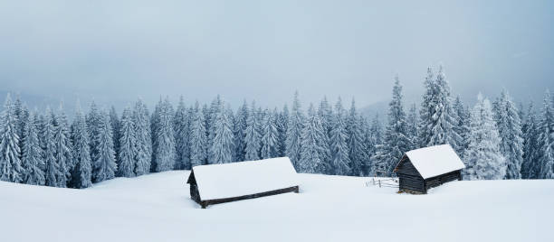 istock Panorama of winter landscape 1002894150