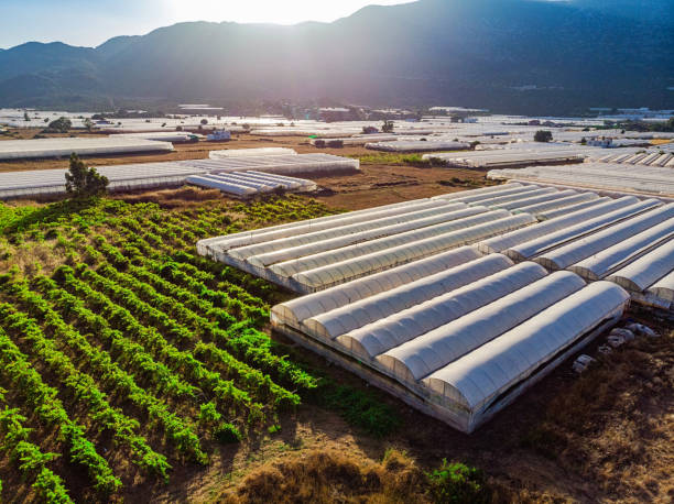 vista aérea de invernadero - greenhouse fotografías e imágenes de stock