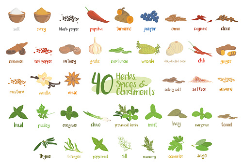 Set of 40 different culinary herbs, species and condiments in cartoon style.