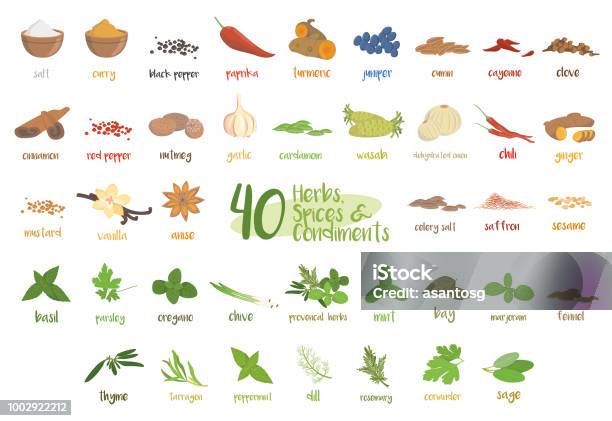 Set Of 40 Different Culinary Herbs Species And Condiments In Cartoon Style Stock Illustration - Download Image Now