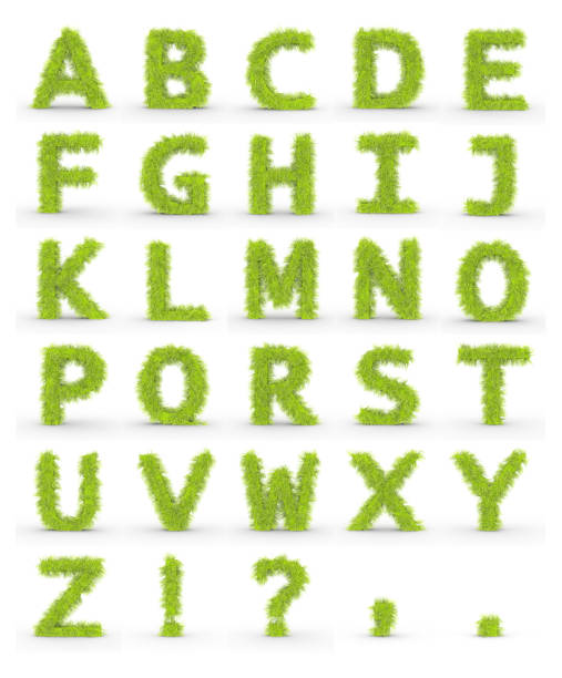 istock Green fur alphabet letters isolated on white background 1002929430