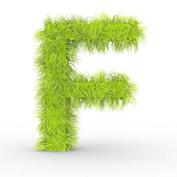 istock Green fur letter F isolated on white background 1002929786