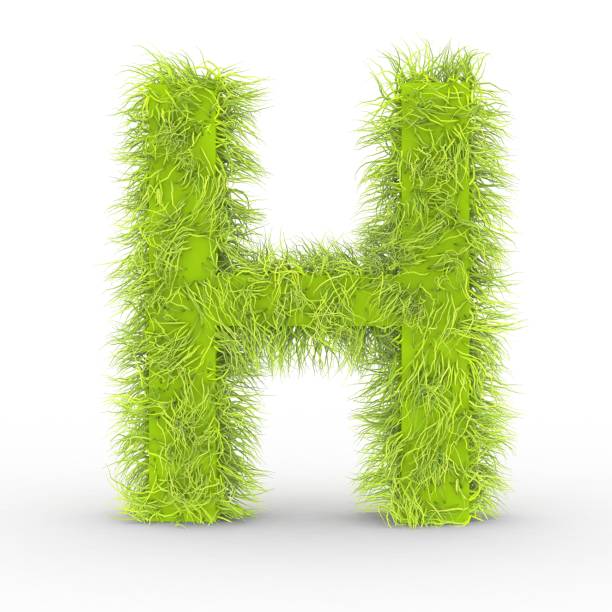 istock Green fur letter H isolated on white background 1002929884