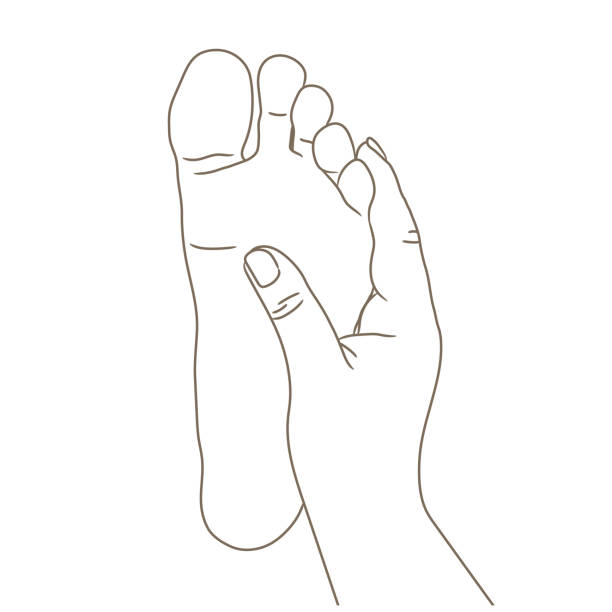 illustrations, cliparts, dessins animés et icônes de plante des pieds féminins ou masculins, pieds nus, vue de dessous. vector illustration, style cartoon dessiné isolé sur le contour blanc, noir et blanc à la main - massaging human foot reflexology foot massage