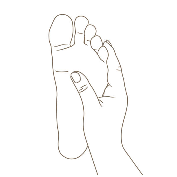 女性または男性の足底、裸足、裏面します。ベクトル イラスト、手の描かれた漫画スタイルの白、黒と白の輪郭線の分離 - massaging human foot reflexology foot massage点のイラスト素材／クリップアート素材／マンガ素材／アイコン素材