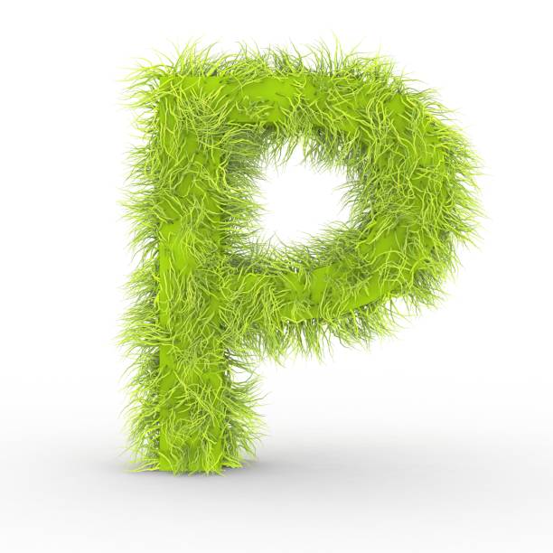 istock Green fur letter P isolated on white background 1002930148
