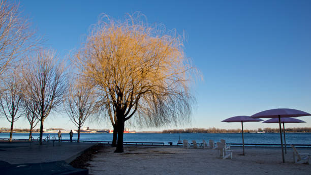 istock breach chairs with umbrella in sunset colour 1002930174