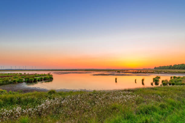 North German moor area North German moor areaNorth German moor area everglades national park stock pictures, royalty-free photos & images