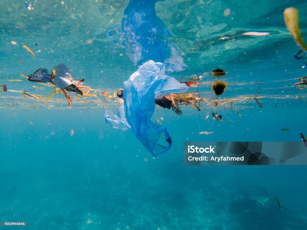 Plastic pollution on marine environment plastic pollution bags floating on marine or ocean environment Sea Stock Photo