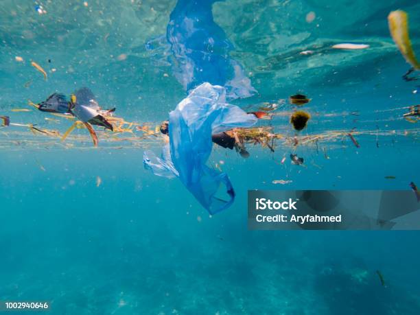 Plastic Pollution On Marine Environment Stock Photo - Download Image Now - Sea, Plastic, Garbage