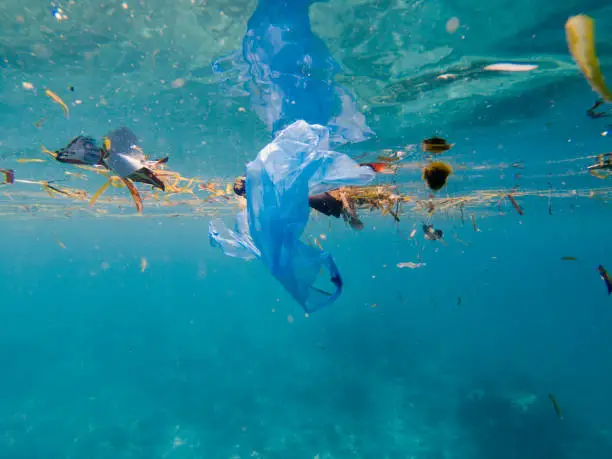 plastic pollution bags floating on marine or ocean environment