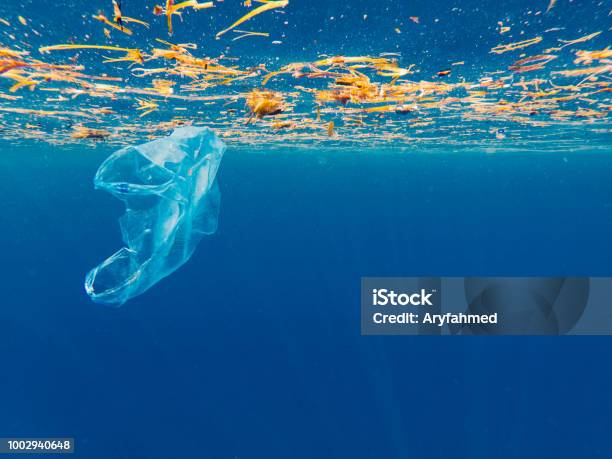 Plastic Pollution On Marine Environment Stock Photo - Download Image Now - Plastic, Sea, Pollution