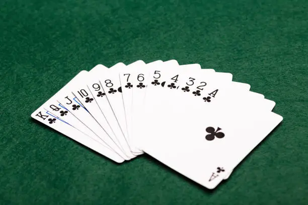 A full suit of thirteen Clubs playing-cards laid out in a fan shape on a green baize background