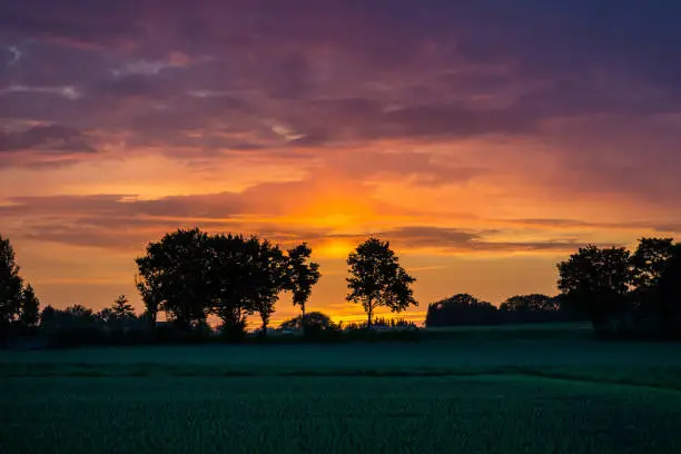 Colorful sunset sky over green fields and silhouette of trees