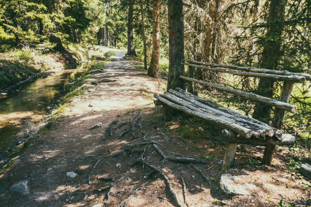 Wooden bench made of tree trunks in mountain forest