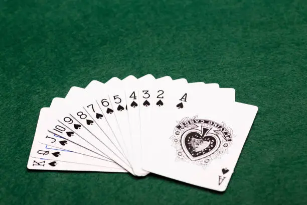 A full suit of thirteen Spades playing-cards laid out in a fan shape on a green baize background