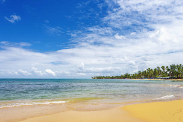 istock sea surf on the beach 1002975146