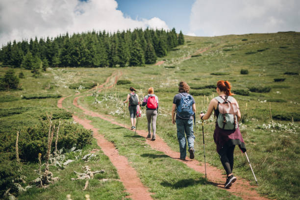 istock Group of friends hiking expedition 1003047582