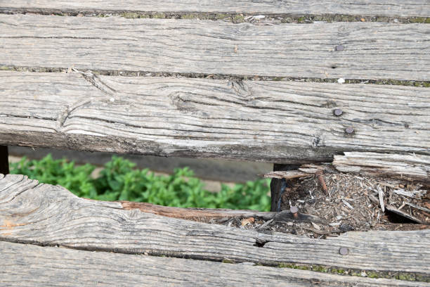 istock Spying through a hole on the old wooden fence 1003047894