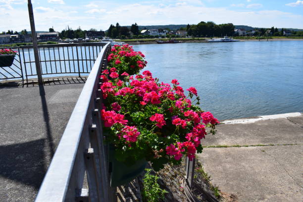 istock Linz am Rhein, Promenade 1003060896