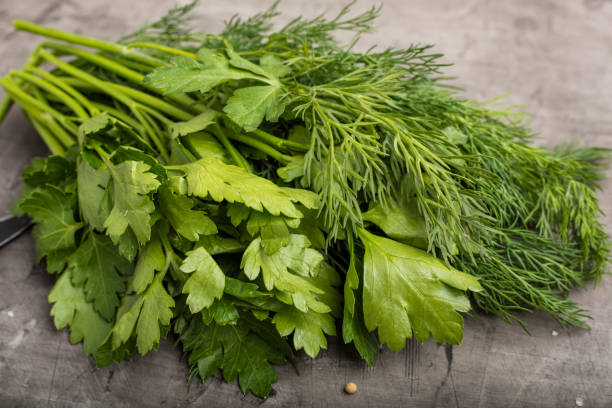 istock Fresh greens, dill, parsley, coriander on a dark background 1003061558