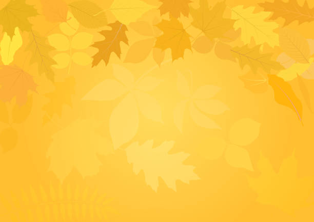background background with autumn leaves september stock illustrations