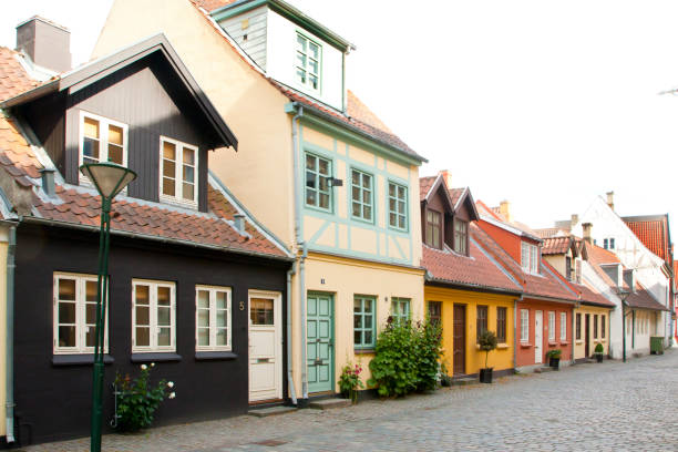 istock Old town of Odense, Denmark 1003075046