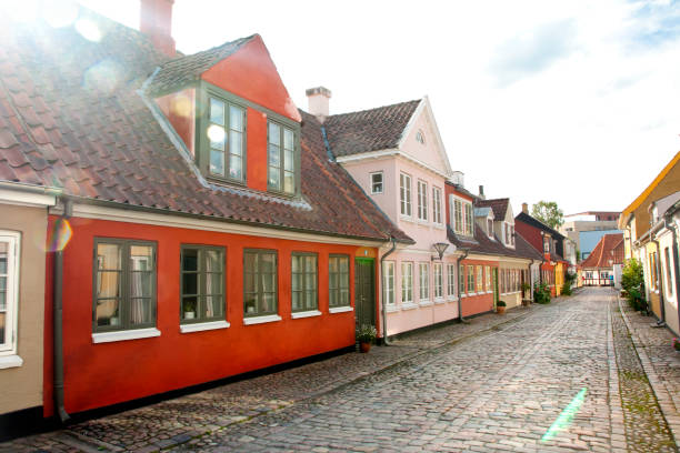 istock Old town of Odense, Denmark 1003084370