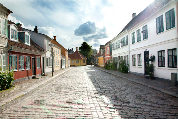 istock Old town of Odense, Denmark 1003087018