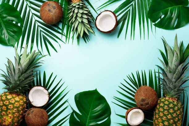 istock Exotic pineapples, ripe coconuts, tropical palm and green monstera leaves on blue background with copyspace for your text. Creative layout. Summer concept. Flat lay, top view 1003089664