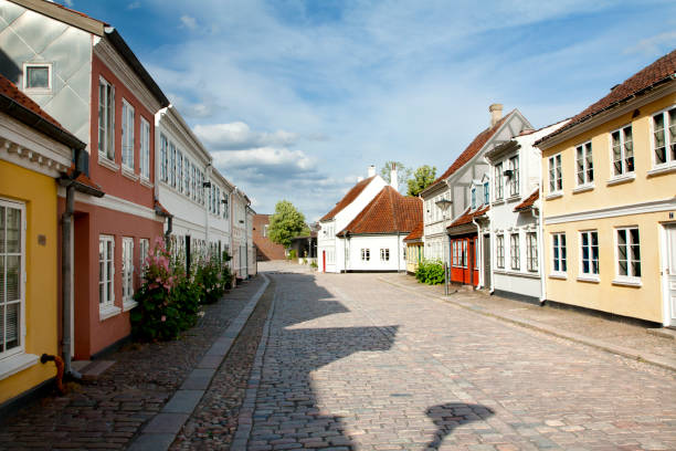 istock Old town of Odense, Denmark 1003090210