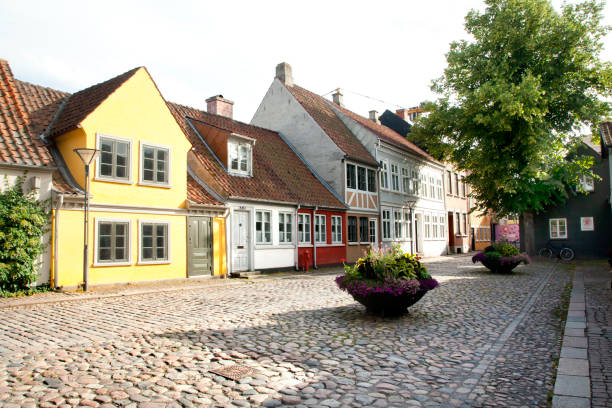 istock Old town of Odense, Denmark 1003093388