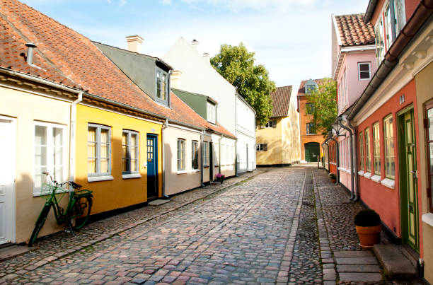istock Old town of Odense, Denmark 1003094086