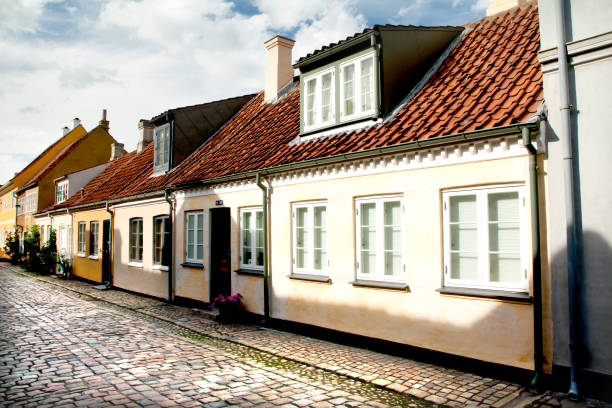 istock Old town of Odense, Denmark 1003094254