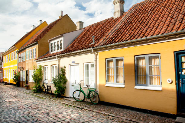 istock Old town of Odense, Denmark 1003094438