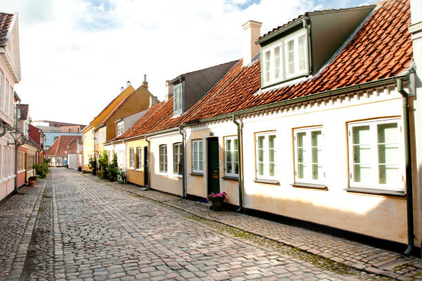 istock Old town of Odense, Denmark 1003094554