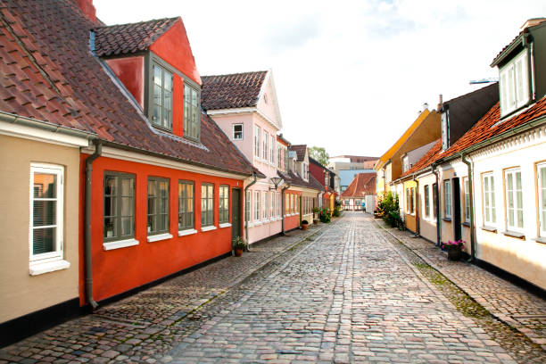 istock Old town of Odense, Denmark 1003094690