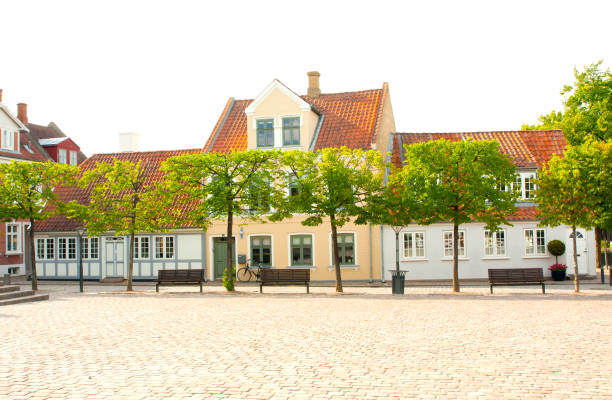 istock Old town of Odense, Denmark 1003097786
