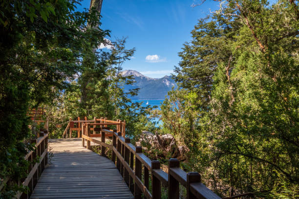 istock Boardwalk path at Arrayanes National Park - Villa La Angostura, Patagonia, Argentina 1003107374